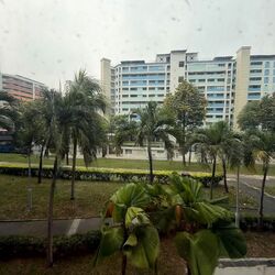 Blk 428 Pasir Ris Drive 6 (Pasir Ris), HDB 4 Rooms #631471021